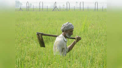 आंदोलन के बीच किसानों के लिए चीन से खुशखबरी, तीन दशक में पहली बार चीन ने भारत से खरीदा चावल