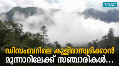 ഡിസംബറിലെ കുളിരാസ്വദിക്കാന്‍ മൂന്നാറിലേക്ക് സഞ്ചാരികൾ...