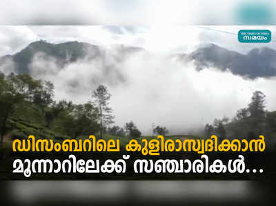 ഡിസംബറിലെ കുളിരാസ്വദിക്കാന്‍ മൂന്നാറിലേക്ക് സഞ്ചാരികൾ...