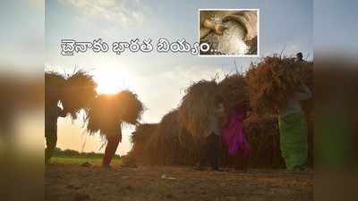 చైనాకు మన బియ్యం.. ముందుకొచ్చిన డ్రాగన్, వివాదం ముగిసినట్లేనా?