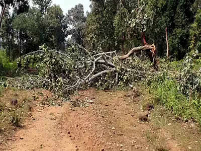 सुरक्षा दलांची कारवाई, नक्षलवाद्यांच्या ठिकाणावर आढळली सेक्स टॉइज