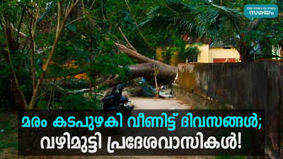 മരം കടപുഴകി വീണിട്ട് ദിവസങ്ങൾ; വഴിമുട്ടി പ്രദേശവാസികൾ!