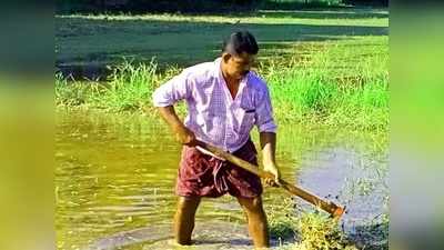 പ്രചരണത്തിരക്കിലും ഇവിടെ സ്ഥാനാര്‍ഥി പാടത്ത് കൃഷിപ്പണിയിലാണ്