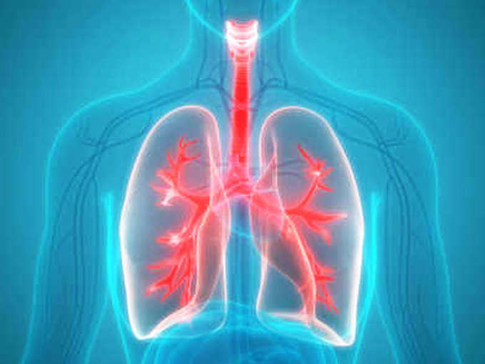 lungs1