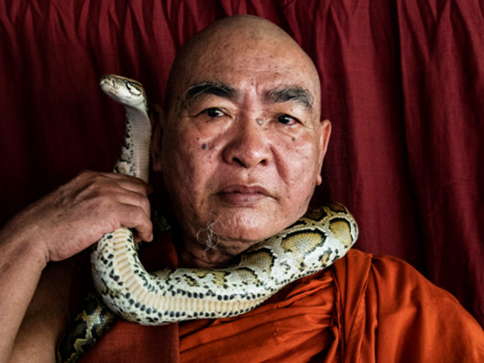 बौद्ध मठ में दान से म‍िलता है सांपों को भोजन