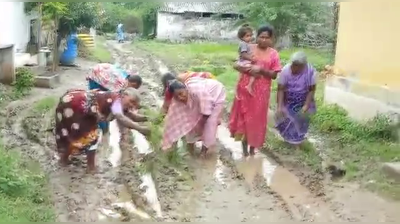 வரி மட்டும் வாங்குறீங்கள்ல... நடுரோட்டில் நாற்று நட்டு கொதிக்கும் கிராமம்