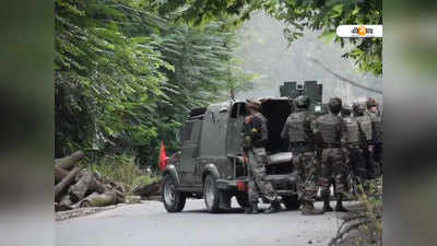 ফের পুলওয়ামায় এনকাউন্টার! যৌথবাহিনীর গুলিতে খতম ৩ সন্ত্রাসবাদী