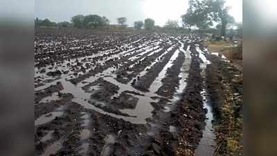 ભરશિયાળે માવઠું: સૌરાષ્ટ્રના અનેક ભાગોમાં કમોસમી વરસાદ, ખેડૂતોની ચિંતા વધી