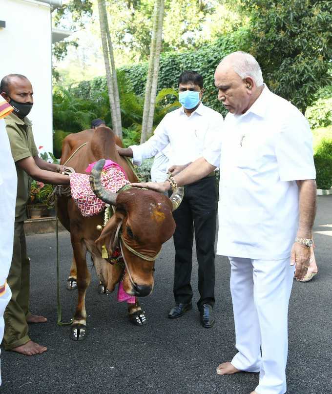 ಸಿಎಂ ನಿವಾಸದಲ್ಲಿ ಗೋ ಪೂಜೆ!