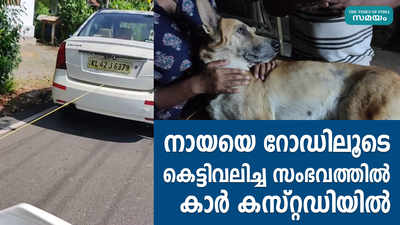 നായയെ കെട്ടിവലിക്കാനുപയോഗിച്ച കാർ കസ്റ്റഡിയില്‍; പെർമിറ്റും ഡ്രൈവറുടെ ലൈസൻസും റദ്ദാക്കാൻ ശുപാർശ