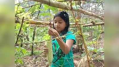 ലോക്ക് ഡൗണിൽ വിത്തിറക്കി; നൂറുമേനി വിളയിച്ച് കുട്ടിക്കർഷക! വീഡിയോ