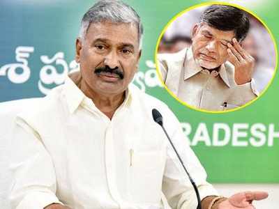 ఇక కుప్పం మాదే: చంద్రబాబు ఎక్కడ గెలిచినా అందుకు రెడీ.. మంత్రి పెద్దిరెడ్డి సంచలన వ్యాఖ్యలు