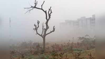 વેસ્ટર્ન ડિસ્ટર્બન્સ દૂર થતા ગુજરાતમાં આગામી 3 દિવસમાં ઠંડીનો ચમકારો લાગશે
