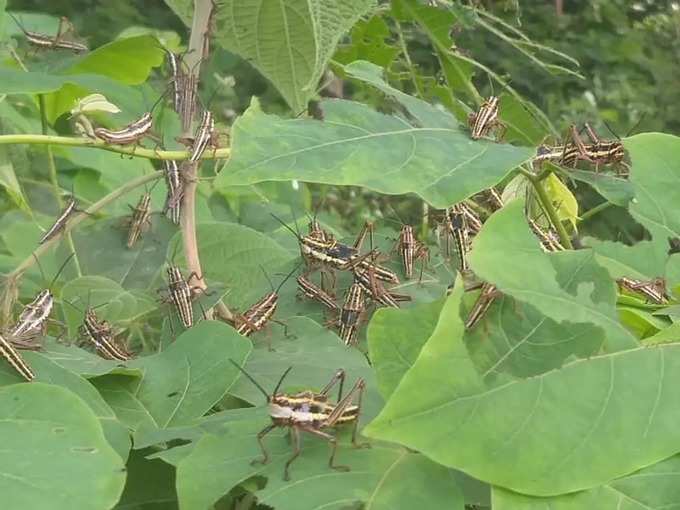 ರೈತರಿಗೆ ಮಾಹಿತಿ ಲಭ್ಯ