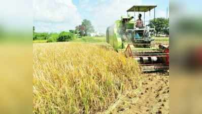 ಮೈಸೂರು: ಗ್ರಾಪಂ ಚುನಾವಣೆಯಿಂದ ಕಾರ್ಮಿಕರ ಕೊರತೆ..! ಭತ್ತ ಬಡಿಯಲು ಜನ ಸಿಗದೇ ಯಂತ್ರಗಳ ಮೊರೆ