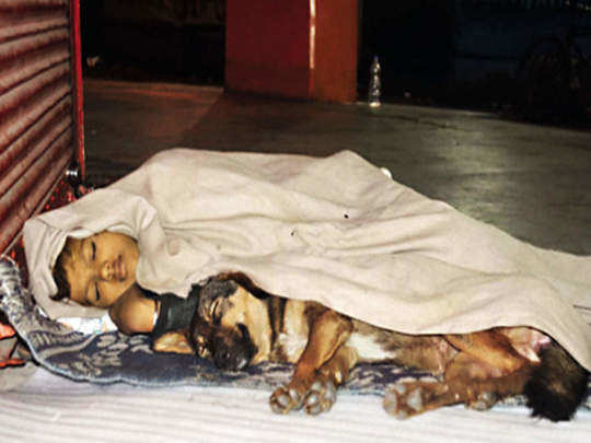 બાપ જેલમાં, મા છોડીને જતી રહી.. 9 વર્ષનું બાળક કૂતરા સાથે ફુટપાથ પર રહેવા મજબૂર 