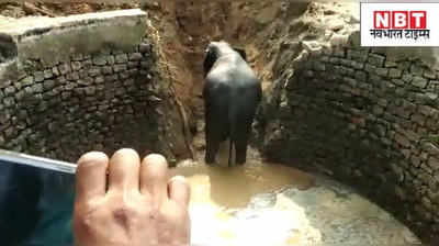 झारखंड: वीडियो में देखिए रांची में हाथी के बच्चे का रेस्क्यू ऑपरेशन