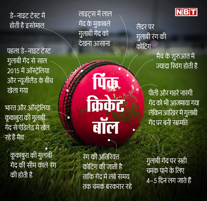 THE PINK CRICKET BALL-NBT