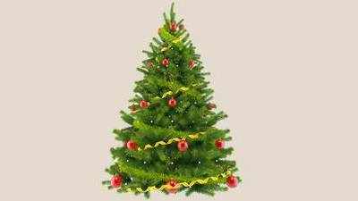 Christmas Day  Store : इस बार बनाएं क्रिसमस को और भी खास, घर ले आएं ये Christmas Tree