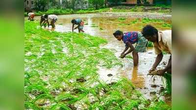 ஈஷா நடத்தும் இயற்கை இடுபொருட்கள் தயாரிக்கும் பயிற்சி: விவசாயிகள் கலந்துகொள்ளலாம்