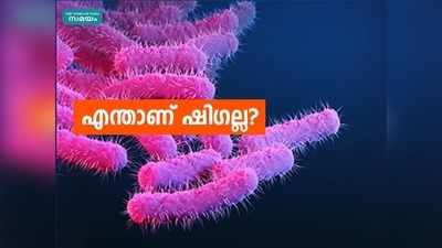 കോഴിക്കോട് ഷിഗല്ല മരണം: എന്താണ് ഷിഗല്ല, എന്തുകൊണ്ട് ചെറിയ കുട്ടികളിൽ ഗുരുതരം? സമ്പൂർണ വിവരങ്ങൾ