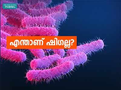 കോഴിക്കോട് ഷിഗല്ല മരണം: എന്താണ് ഷിഗല്ല, എന്തുകൊണ്ട് ചെറിയ കുട്ടികളിൽ ഗുരുതരം? സമ്പൂർണ വിവരങ്ങൾ