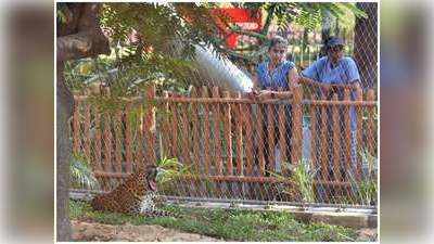 Reliance Zoo: गुजरात के जामनगर में बनेगा दुनिया का सबसे बड़ा चिड़ियाघर, रिलायंस के हाथ में है प्रोजेक्ट