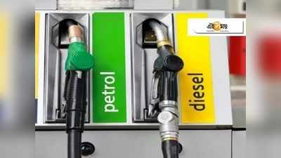 Petrol Diesel Price Today: লাগাতার ১৪ দিন অপরিবর্তিত দাম, এখনও ₹৯০ লিটারেই থমকে পেট্রল!