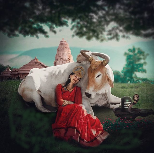 ಗೋಮಾತೆ ನೆಲೆಸುವ ಸ್ಥಳ ಗೋಮಾತೆ ನೆಲೆಸುವ ಸ್ಥಳ