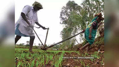 नए साल से पहले झारखंड के किसानों को मिला बड़ा तोहफा, कर्जमाफी के लिए 2000 करोड़ रुपये मंजूर
