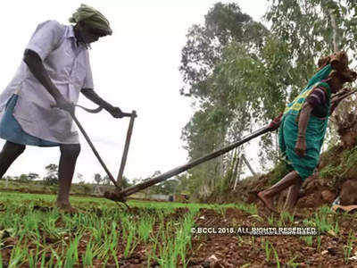 नए साल से पहले झारखंड के किसानों को मिला बड़ा तोहफा, कर्जमाफी के लिए 2000 करोड़ रुपये मंजूर