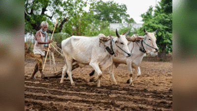 PM Kisan Samman Nidhi Yojna : मोदी कल 9 करोड़ किसानों को किस्त भेजेंगे