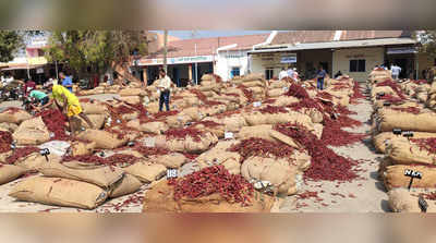 ಮೆಣಸಿಗೆ ಚಿನ್ನದ ದರ, ದೇಶದ ಗಮನ ಸೆಳೆದ ಬ್ಯಾಡಗಿ ಮೆಣಸಿನಕಾಯಿ ಮಾರುಕಟ್ಟೆ