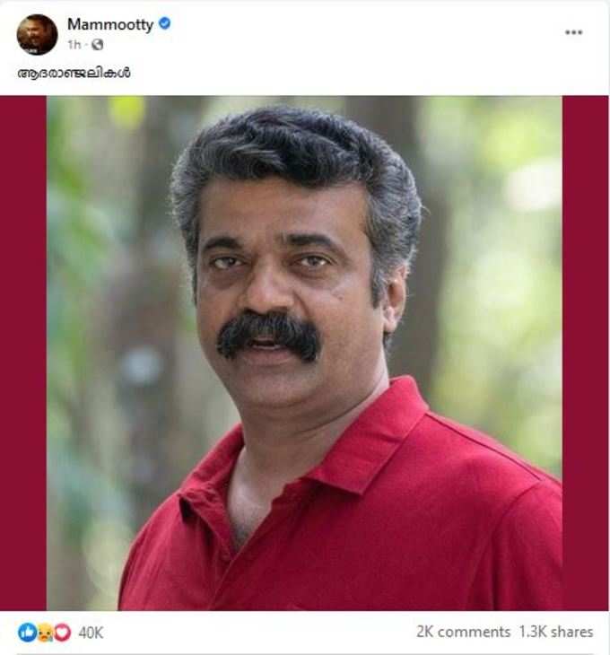 മമ്മൂട്ടി