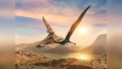 दुनिया के लिए रहस्‍य हैं उड़ने वाले डायनासोर, वैज्ञानिकों ने सुलझायी 200 साल पुरानी गुत्‍थी