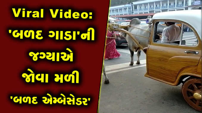 Viral Video: બળદ ગાડાની જગ્યાએ જોવા મળી બળદ એમ્બેસેડર 