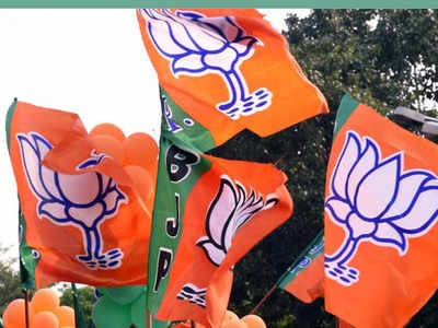 पासीघाट निकाय चुनाव में बीजेपी की जीत, ईटानगर नगर निगम में जद (यू) को नौ सीटें