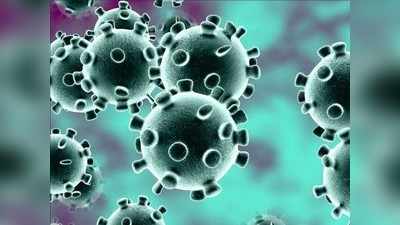 Coronavirus  करोनाबाधितांमधील रोगप्रतिकारशक्तींची क्षमता भिन्न!