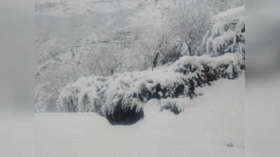 हिमाचल प्रदेश, उत्तराखंड और कश्मीर में जमकर बर्फबारी, कहीं आफत तो कहीं टूरिस्ट उठा रहे मजे, देखें तस्वीरें...