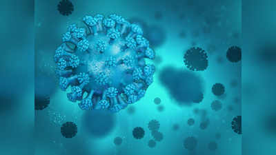 Coronavirus New Strain News: भारत में भी मिला कोरोना का नया रूप, 6 लोग पाए गए पीड़ित