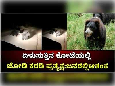 ಏಳುಸುತ್ತಿನ ಕೋಟೆಯಲ್ಲಿ ಜೋಡಿ ಕರಡಿ ಪ್ರತ್ಯಕ್ಷ;ಜನರಲ್ಲಿಆತಂಕ