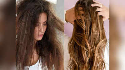 Split Ends Hair: दोमुंहे बालों की समस्या दूर करने के घरेलू उपाय, जो बढ़ा देंगे बालों की चमक भी