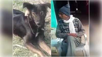 छिंदवाड़ा में किसान ने कुत्ते के नाम कर दी आधी संपत्ति, सच साबित हुई फिल्म एंटरटेनमेंट की कहानी