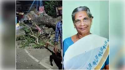 രാത്രിയിൽ കട അടച്ച് വീട്ടിലേക്ക് പോകാനിറങ്ങിയ വയോധിക ആൽമരം ഒടിഞ്ഞ് തലയിൽ വീണ് മരിച്ചു