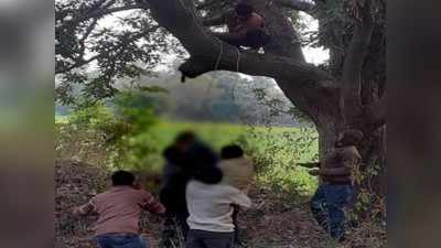 MP : कर्ज से परेशान किसान ने मौत को गले लगाया, पेड़ से लटकता मिला शव