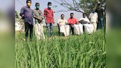 കര്‍ഷകര്‍ക്ക് ബിജെപി നേതാവിന്‍റെ ഐക്യദാര്‍ഢ്യം, വയലില്‍ കസേരയിട്ടിരുന്ന്... ഇത് പരിഹാസമെന്ന് സോഷ്യല്‍ മീഡിയ