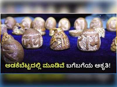 ವಿಡಿಯೋ: ಅಡಕೆಯಲ್ಲಿ ಮೂಡಿವೆ ಬಗೆಬಗೆಯ ಆಕೃತಿ..!