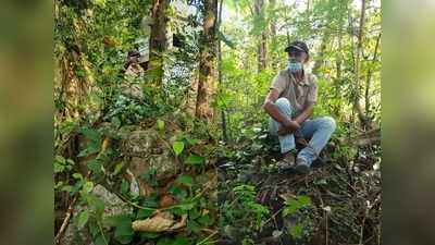 പക്ഷികളുടെ പറുദീസയായ തട്ടേക്കാട്ട് ഡോ. സാലിം അലിക്ക് സ്മാരകം വേണം; ആവശ്യം ശക്തം