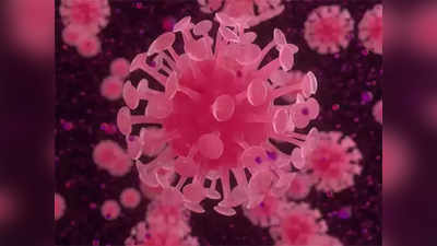 नवीन करोना व्हायरसचे आणखी रुग्ण आढळले, देशातील एकूण संख्या ३८ वर