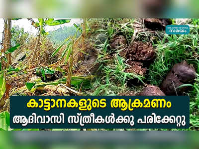 കാട്ടാനകളുടെ ആക്രമണം ആദിവാസി സ്ത്രീകൾക്കു പരിക്കേറ്റു